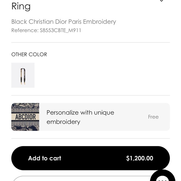 Dior Saddle Bag with Strap - Picture 12 of 13